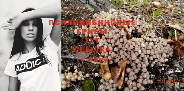 круглые Зерноград