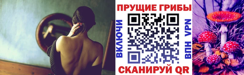 Галлюциногенные грибы MAGIC MUSHROOMS  цены   Каменка 